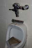 Install new flush valve (802 KB)